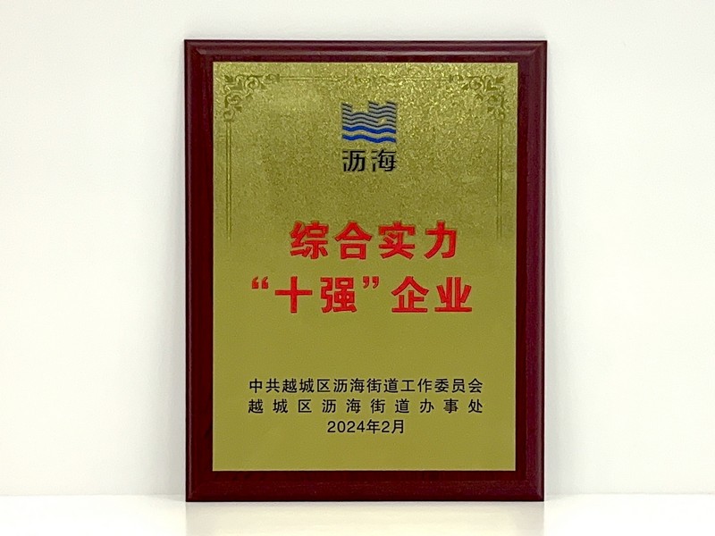 “綜合實力十強企業”.jpg